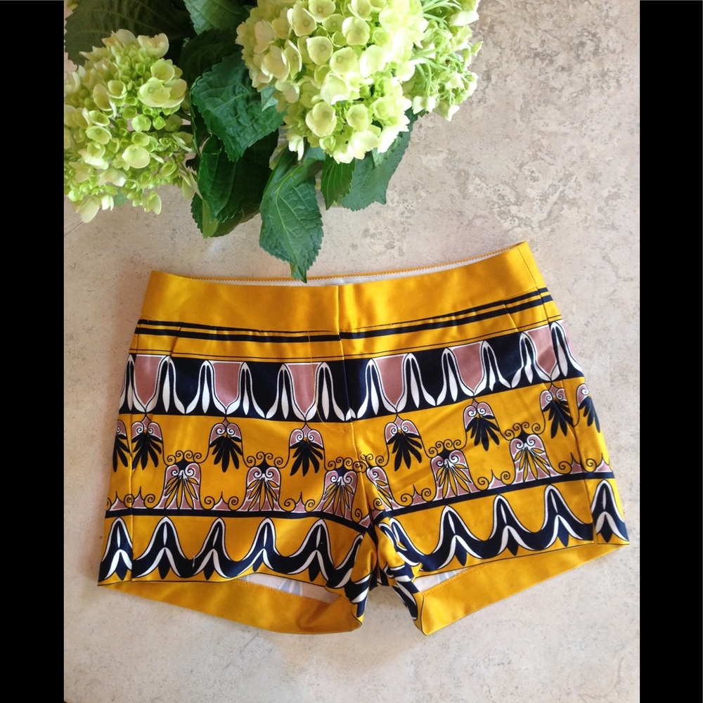 J Crew shorts